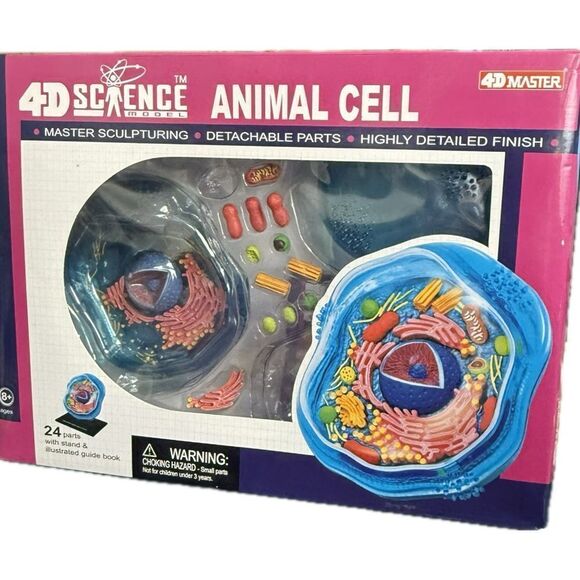 4D science animal cell model, ages 8+, new in package - Picture 1 of 7